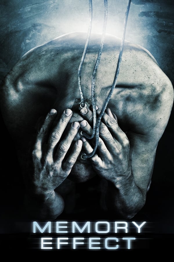 DE - Memory Effect (2012)