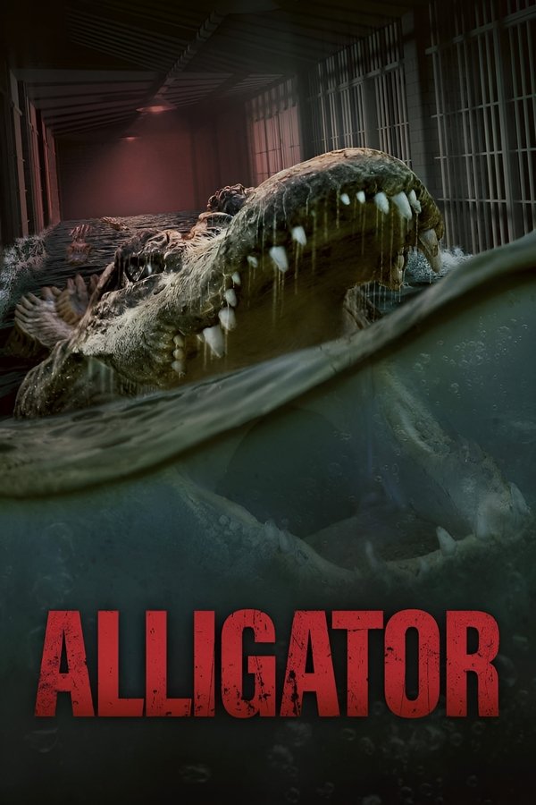 IT - Alligator - 2023