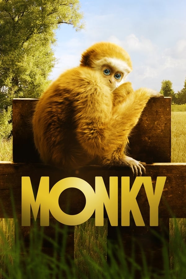 Monky – Kleiner Affe, großer Spaß