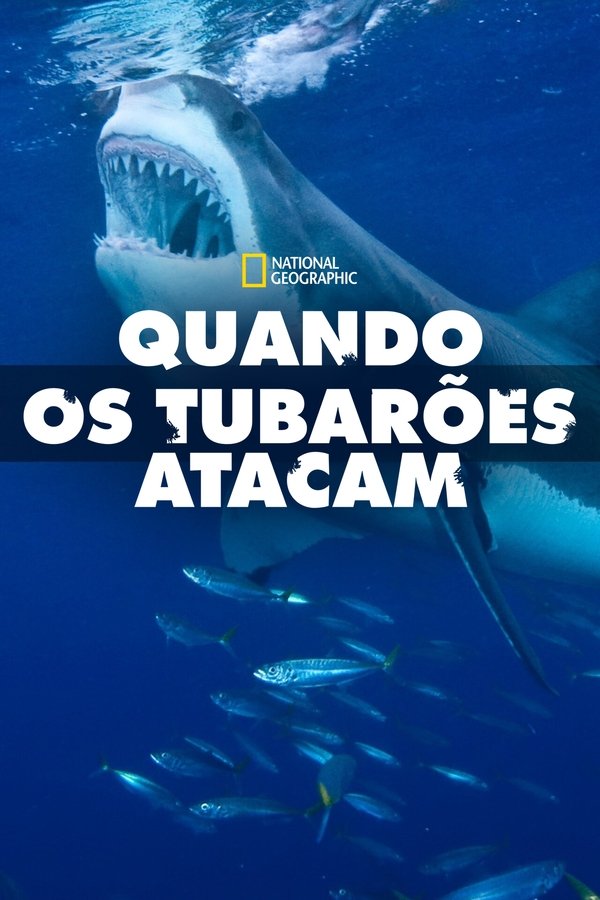 Temporada 6