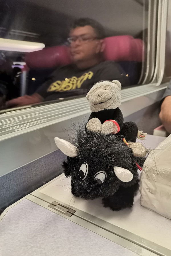 El monito se fue de viaje