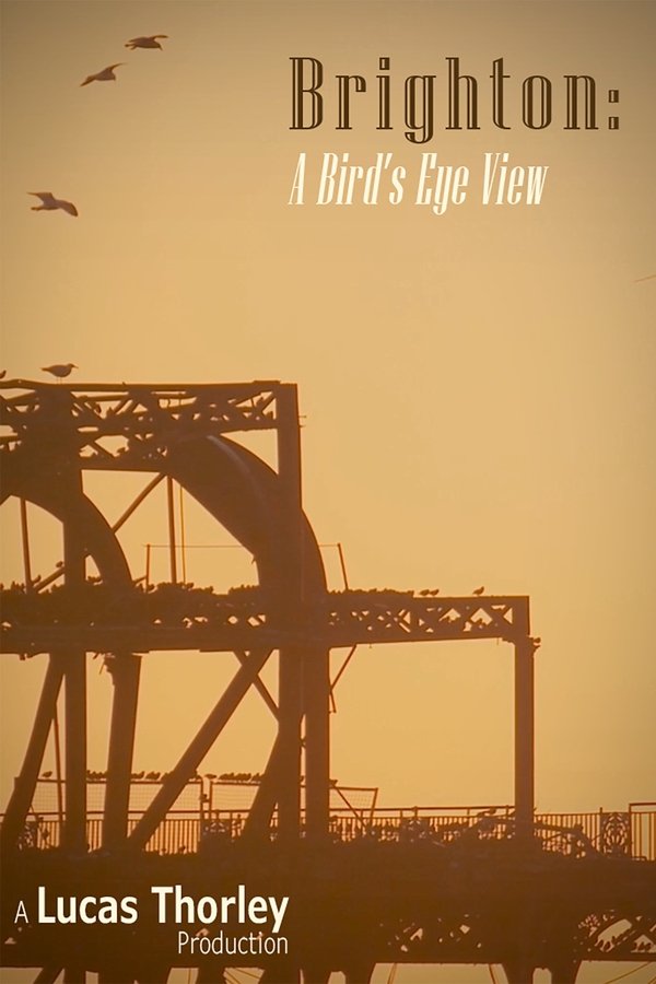 Brighton: A Bird's Eye View poster