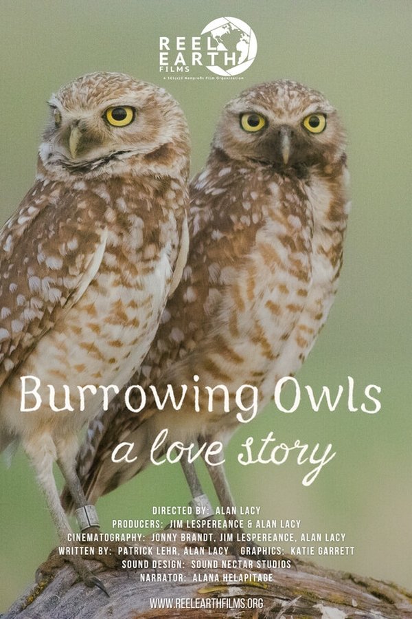 Burrowing Owls: A Love Story
