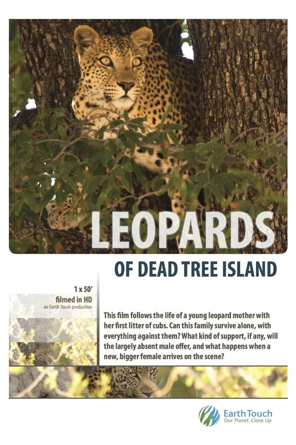 EN - Leopards Of Dead Tree Island (2010)