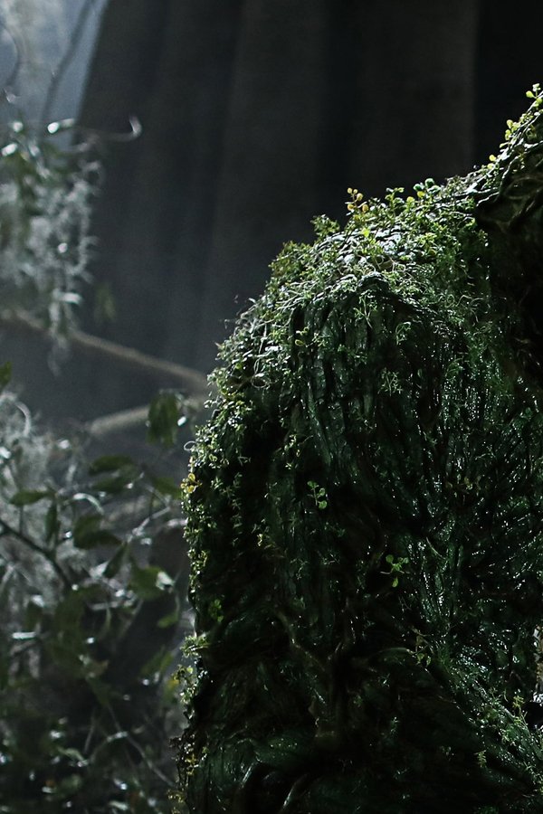 Swamp Thing – S01E10 – La Resa dei Conti