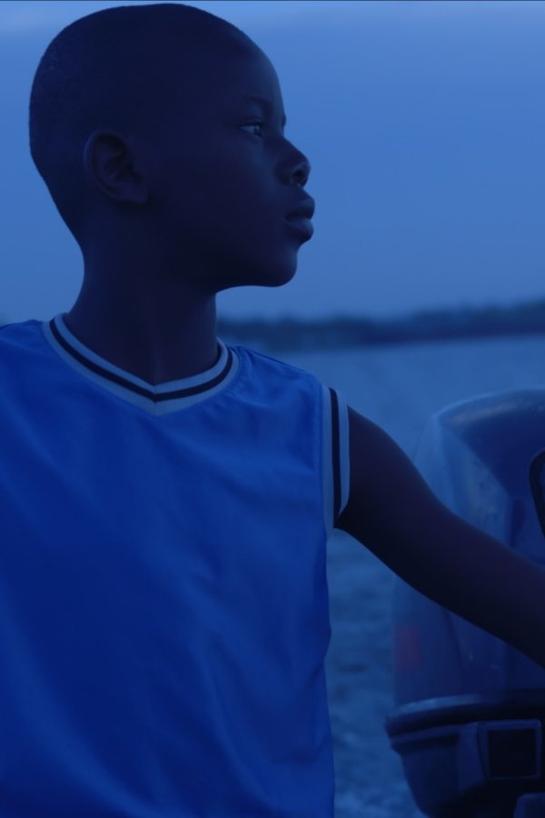 Profile