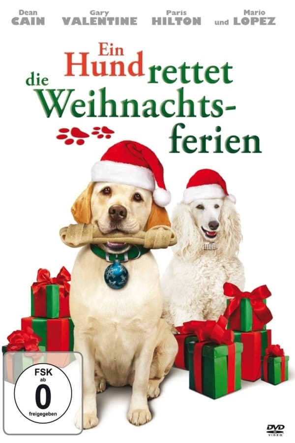 Ein Hund rettet die Weihnachtsferien (2010)