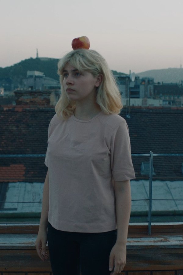 Profile
