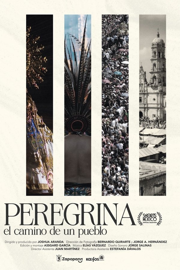 Pilgrim A people’s journey