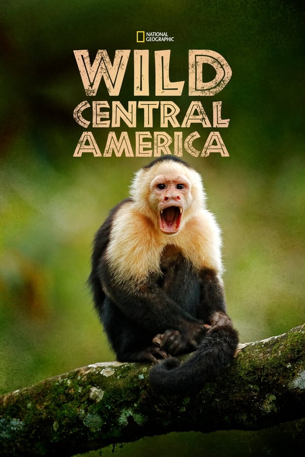 TVplus EN - Wild Central America (2020)