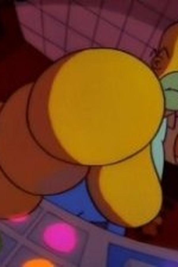 I Simpson – S03E05 – Homer definito