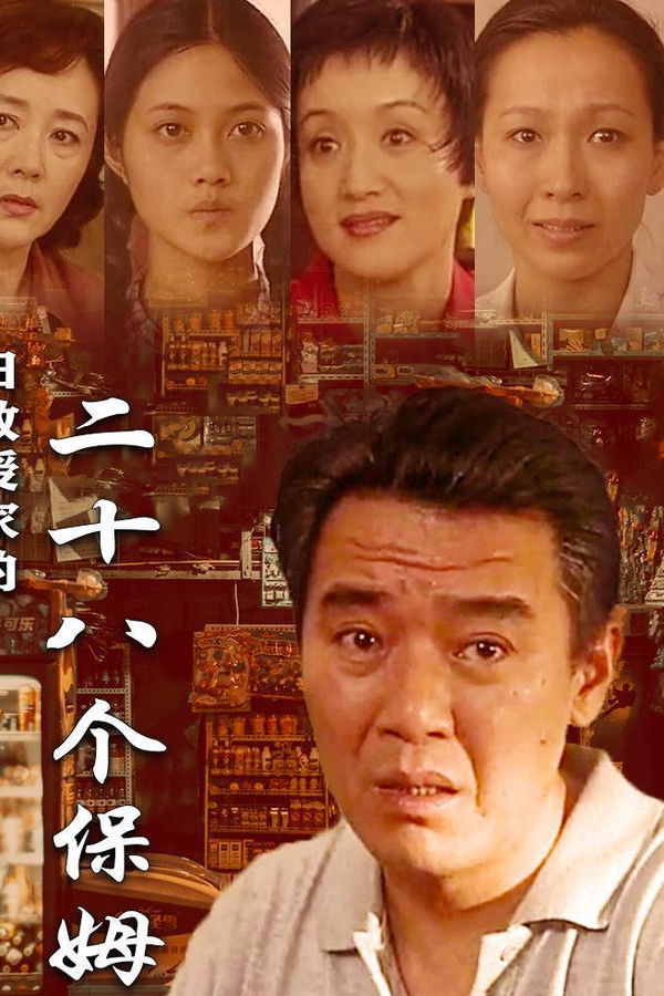 田教授家的28个保姆