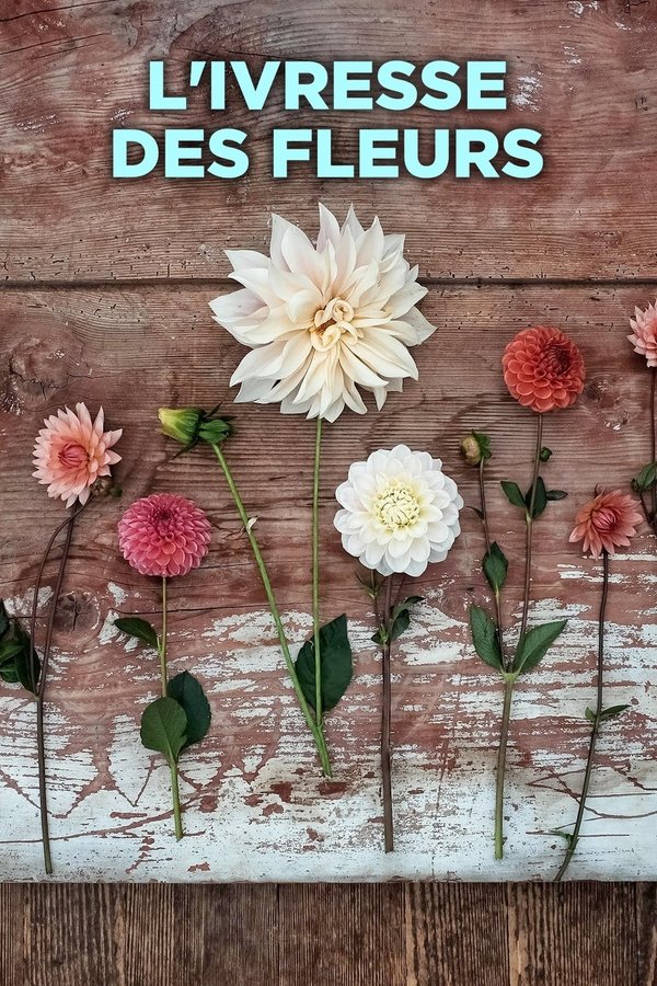 L’ivresse des fleurs