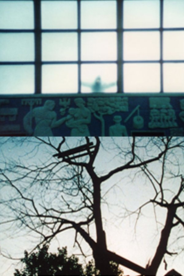 Le temps qu’il fait