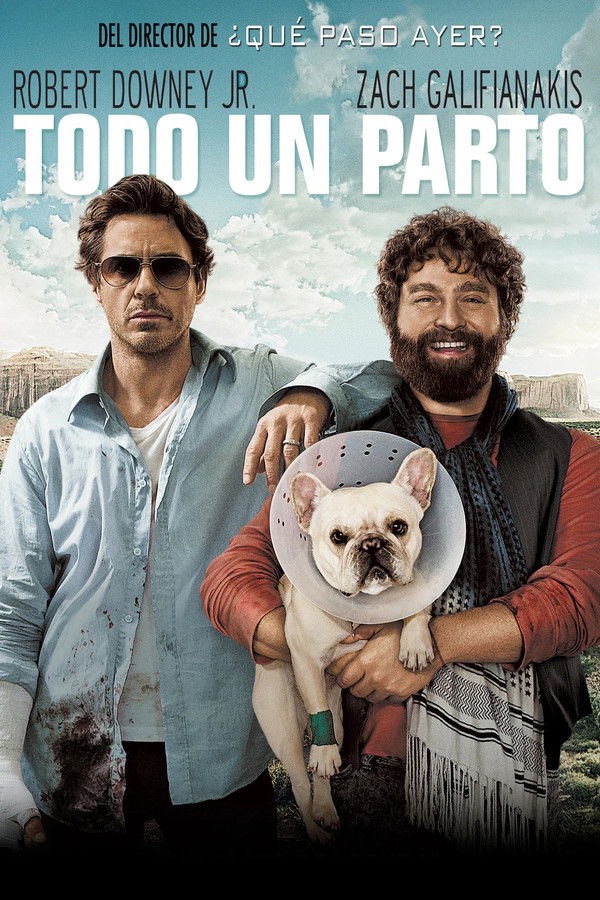 Todo un parto (Due Date)