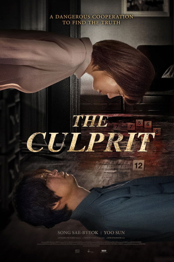 The Culprit