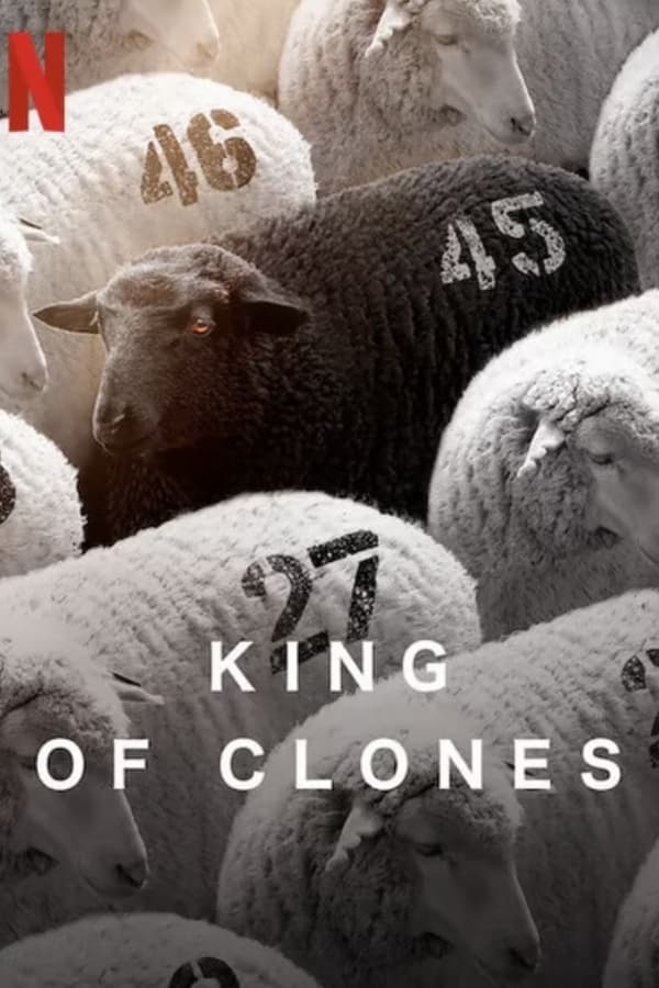 TVplus AR - King of Clones (2023)