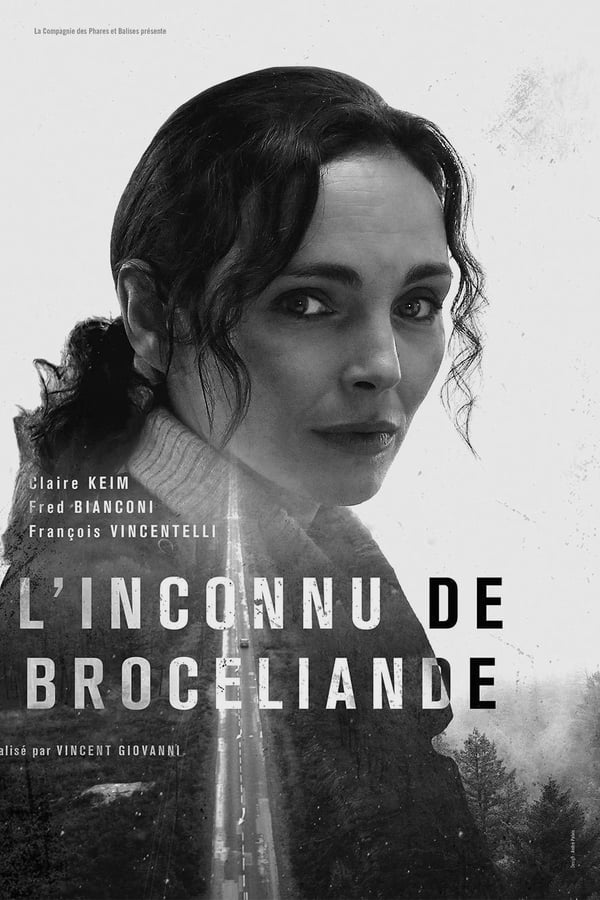 L’inconnu de Brocéliande