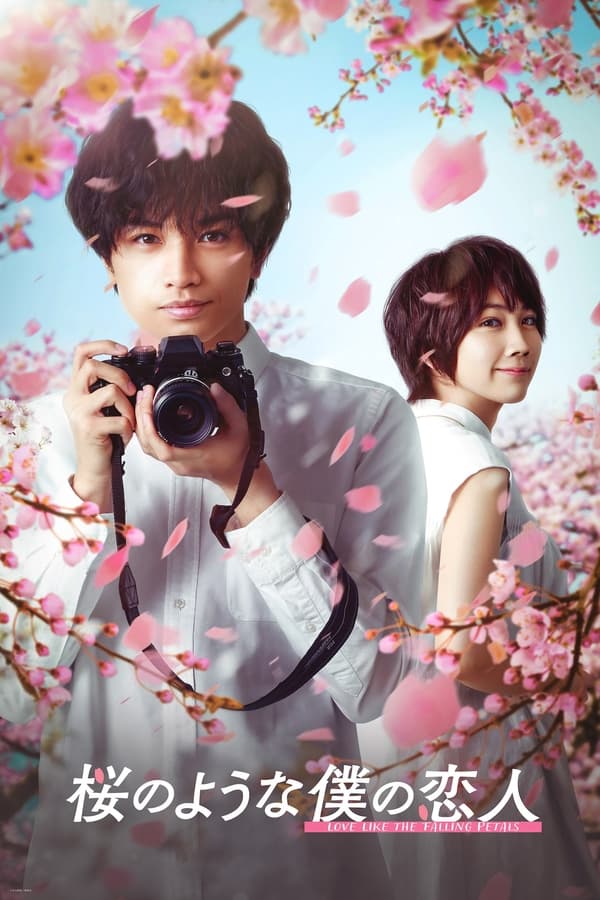 FR - Love Like the Falling Petals (VOSTFR) (2022)