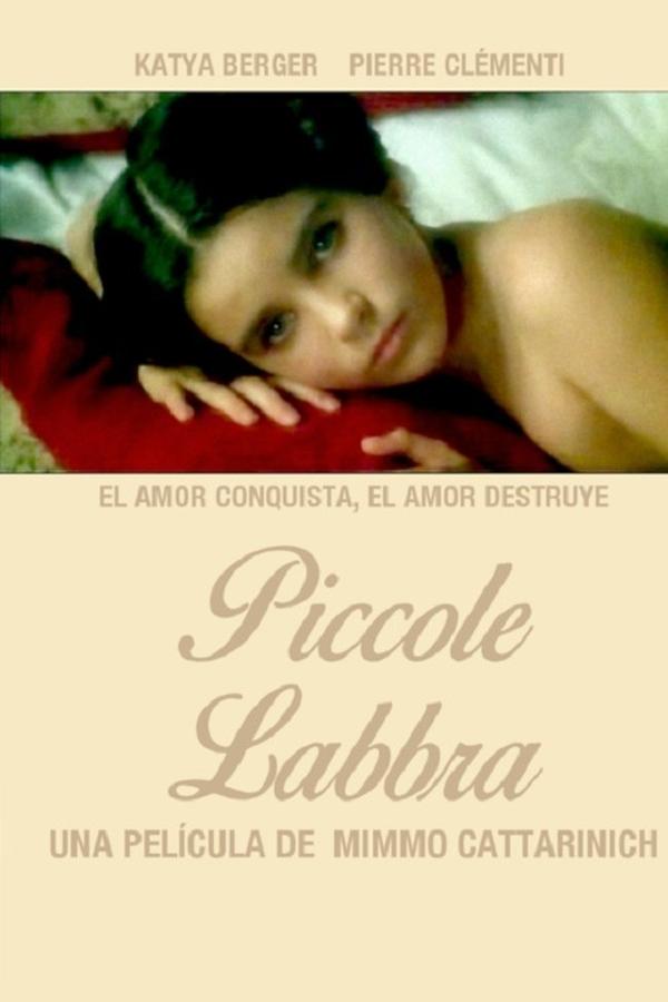 Piccole labbra