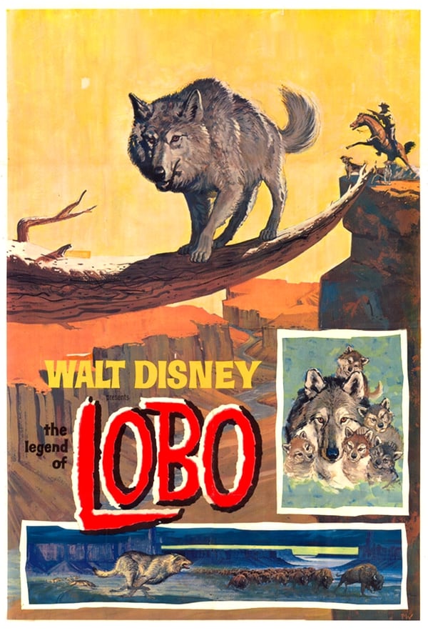 The Legend of Lobo