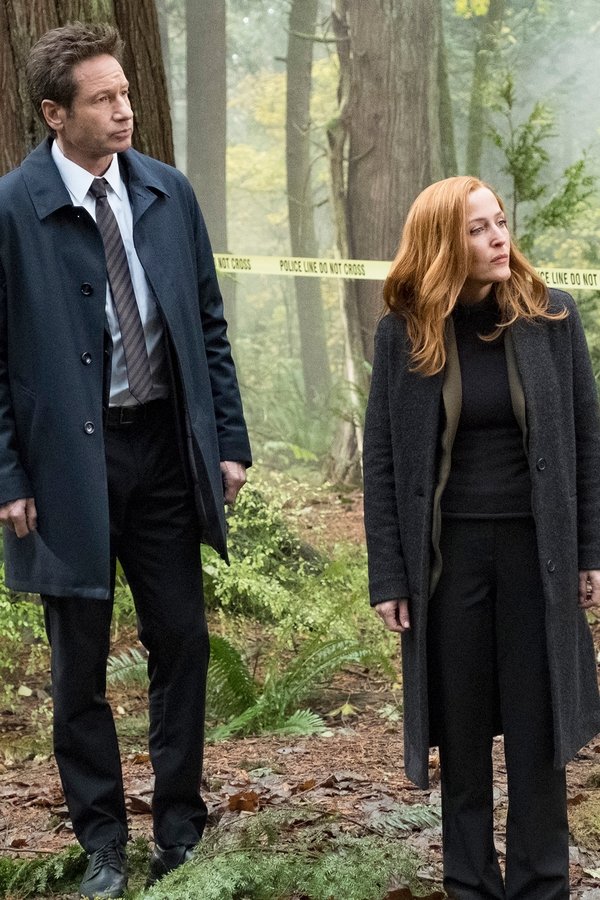 X-Files – S11E06 – Kitten