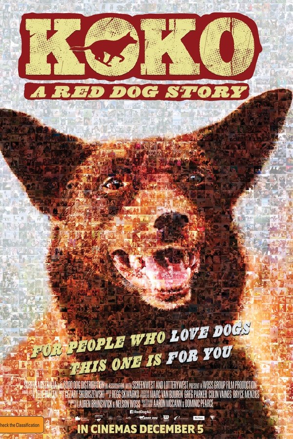 EN - Koko: A Red Dog Story - 2019 cover image