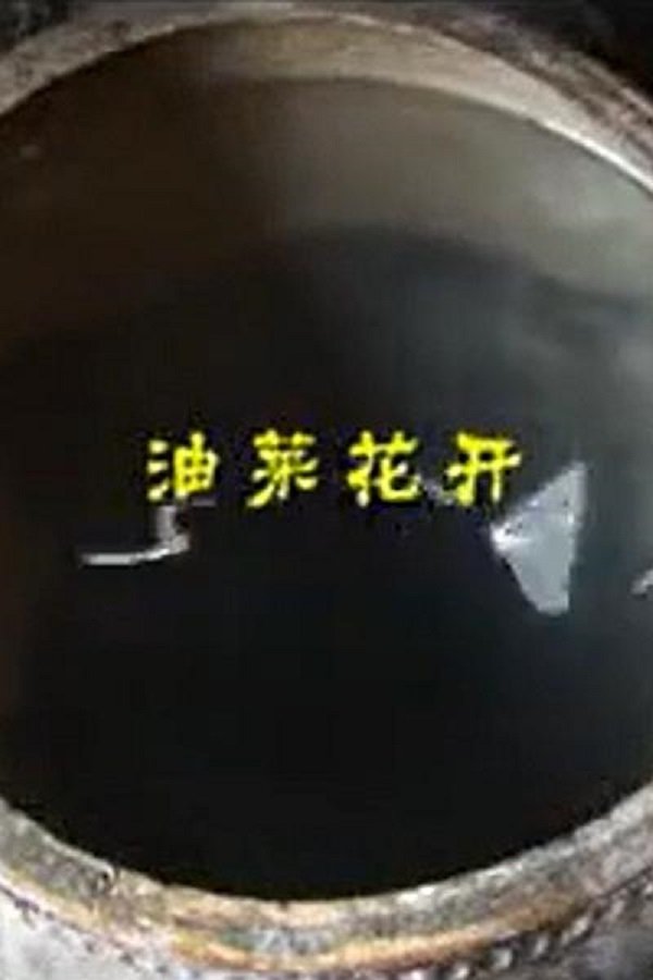 Yellow Flower of Rape