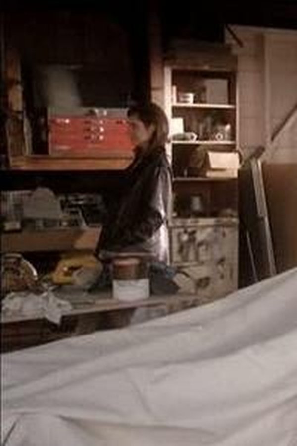 Beverly Hills 90210 – S07E23 – Episodio 23