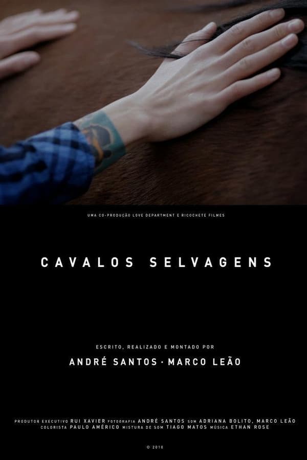Wild Horses