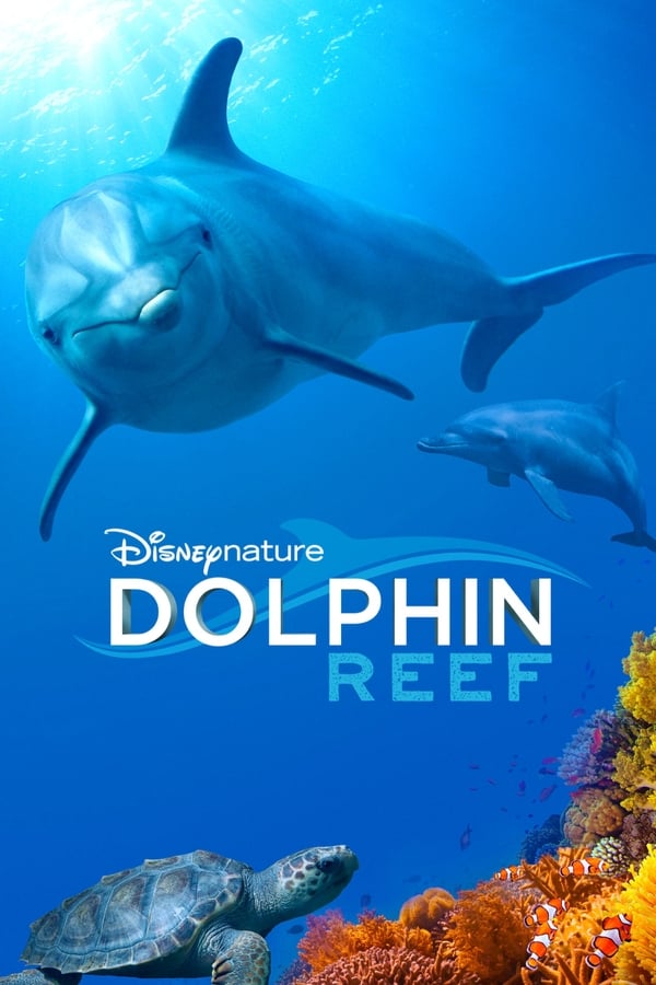 AR - Dolphin Reef