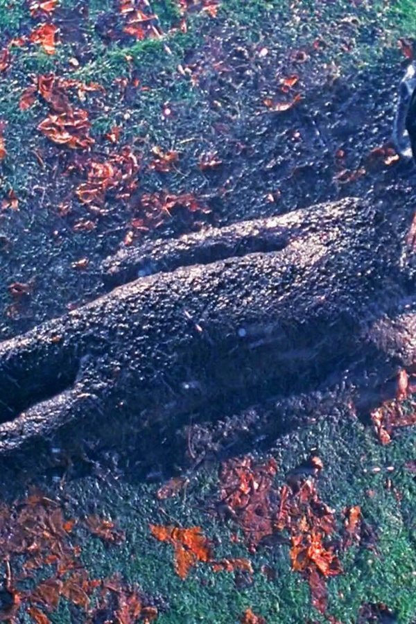 X-Files – S04E15 – Fango