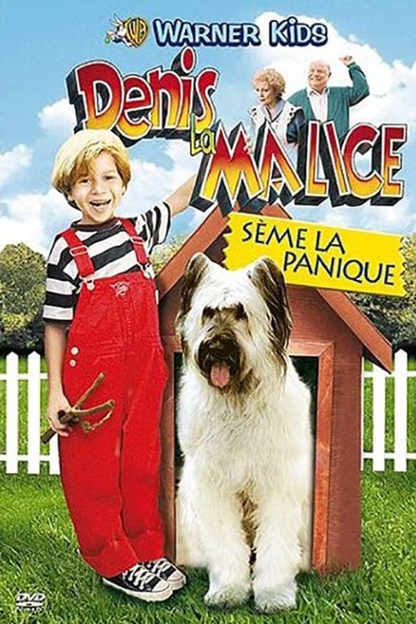 Denis est âgé de 7 ans. Il ne fait que multiplier ses bêtises. Sans le vouloir, il mène la vie dure à Mr Wilson, son voisin qui lui fait aussi office de meilleur ami. Un jour, deux escrocs s'emparent de la confiance de Mr Wilson. Ils lui promettent la jeunesse à lui et à sa femme contre des machines inopérantes de leur estimation jaugée à quelques milliers de dollars. Après avoir bien manipulé Mr Wilson, ils sont finalement arrêtés par Denis qui va se munir de son lance-pierres pour mettre le holà aux manigances des deux aigrefins. Denis est finalement considéré en héros malgré son séjour avec son grand-père au Grand Canyon où il est déterminé à ramasser des pierres en souvenir pour Mr Wilson et va ôter celle qui tient le Camping Car...