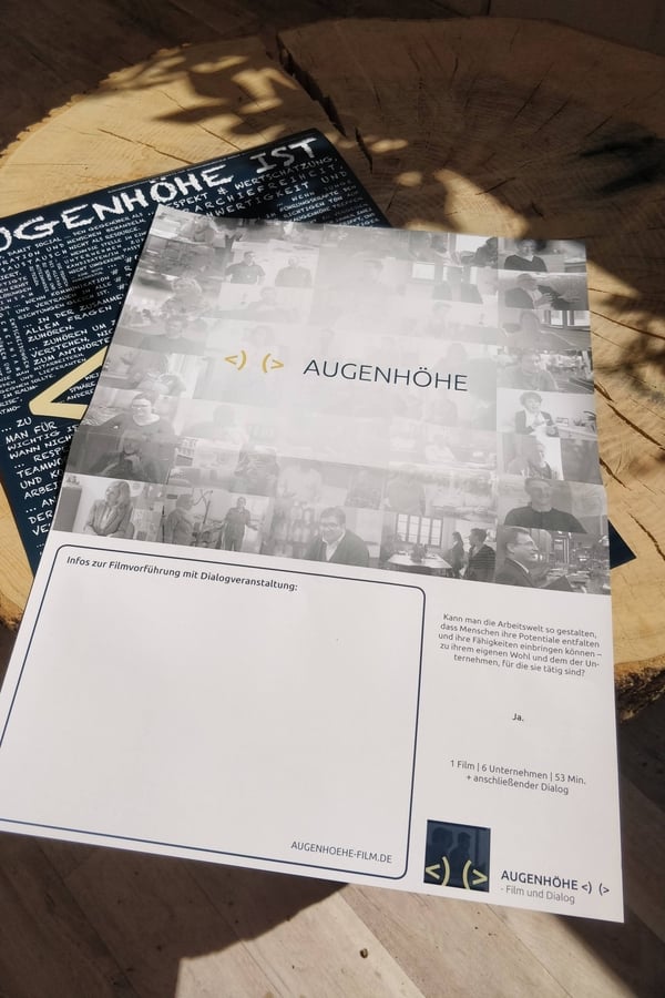 DE - AUGENHÖHE (2015)