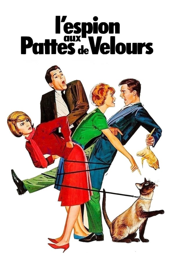 Les deux sœurs Randall, Ingrid et Patti, sont cloîtrées chez elles avec leur chat pour seule compagnie. Une nuit, celui-ci s'enfuit dans le sillage d'une affriolante minette. Mais il est distrait de son but par une odeur de poisson, que transporte un certain Iggy. Il suit l'individu jusque chez lui et se retrouve en présence d'une vieille fille, Margaret Miller, séquestrée par Iggy et son complice Dan qui ont cambriolé la banque dont elle est caissière. Miss Miller remplace le collier du chat par sa propre montre après avoir tenté d'écrire HELP (au secours) dessus. Patti découvre le message et convainc un jeune inspecteur du FBI de suivre le chat dans ses tournées nocturnes. Mais c'est sans compter sur la curiosité morbide de la vieille voisine qui passe son temps à espionner les sœurs Randall.