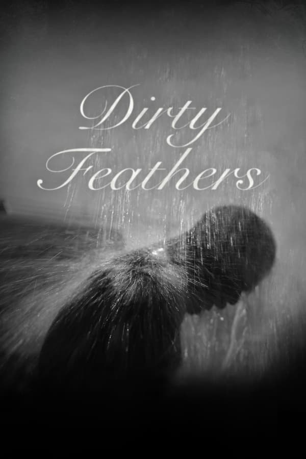 Dirty Feathers