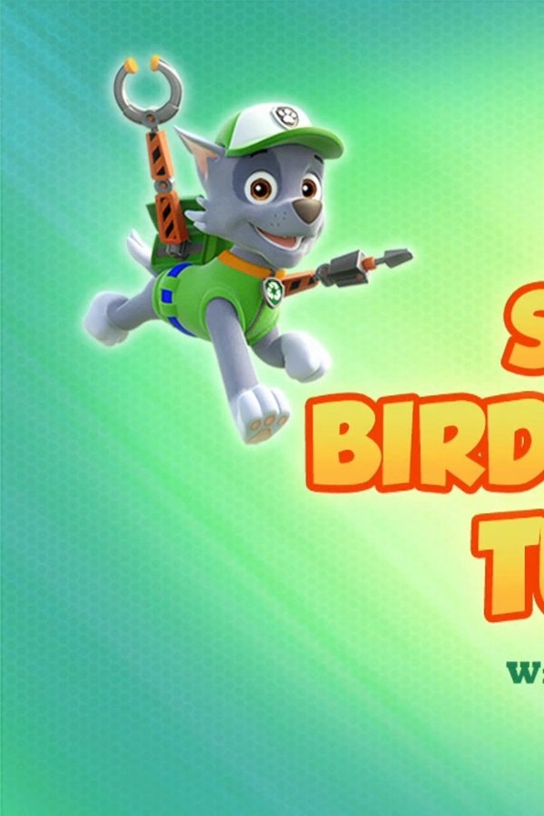 Paw Patrol – S06E24 – I cuccioli salvano la gara dei Turbot