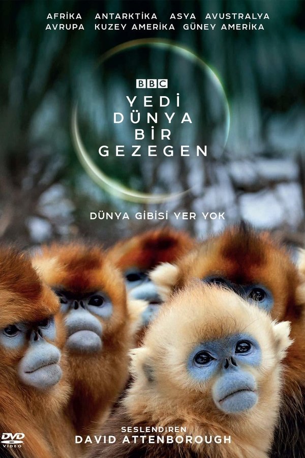 Yedi Dünya, Bir Gezegen