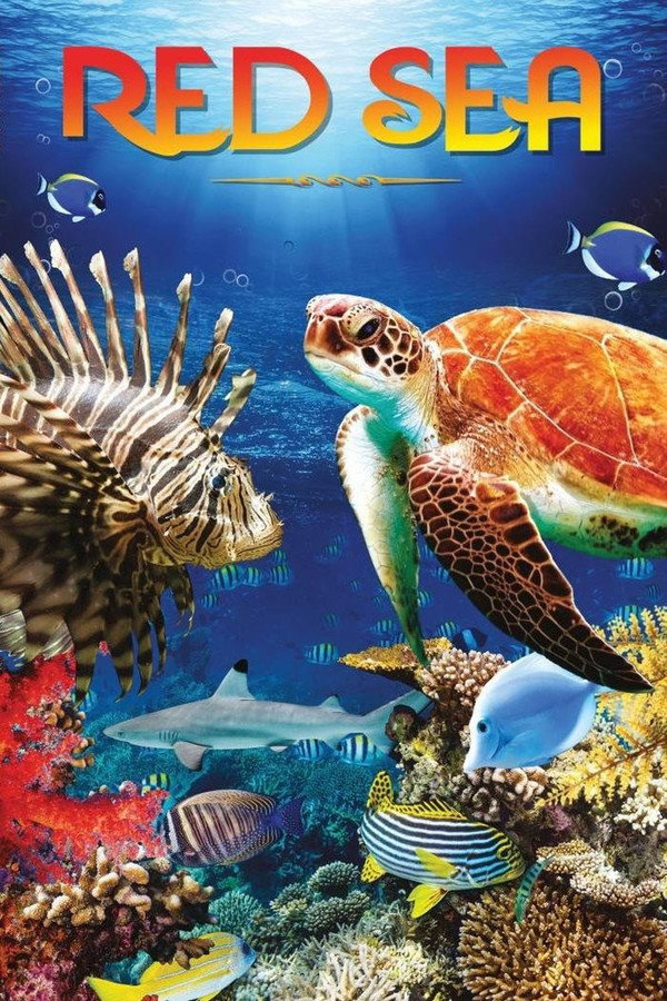 watch-Red Sea