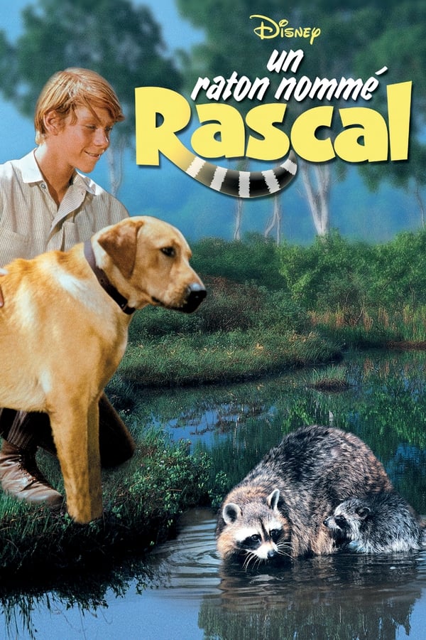 Un raton nommé rascal