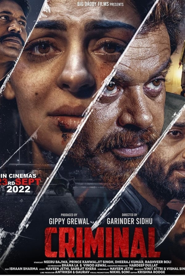AR-IN - Criminal (2022)