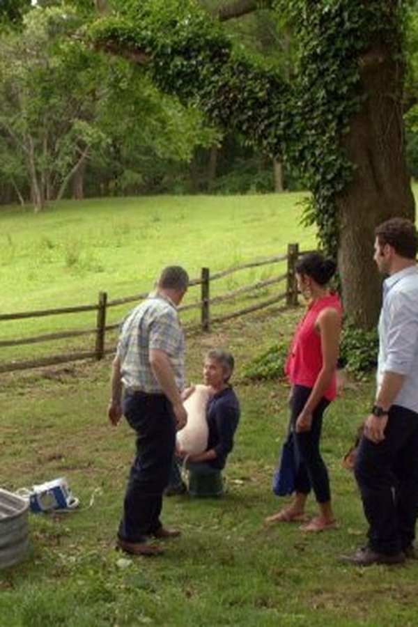 Royal Pains – S04E08 – Episodio 8