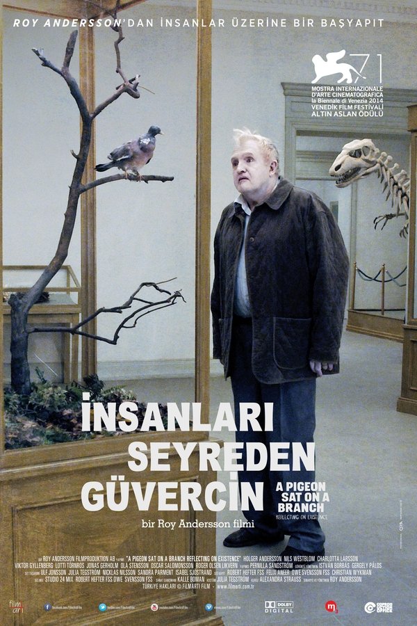 İnsanları Seyreden Güvercin (2014)