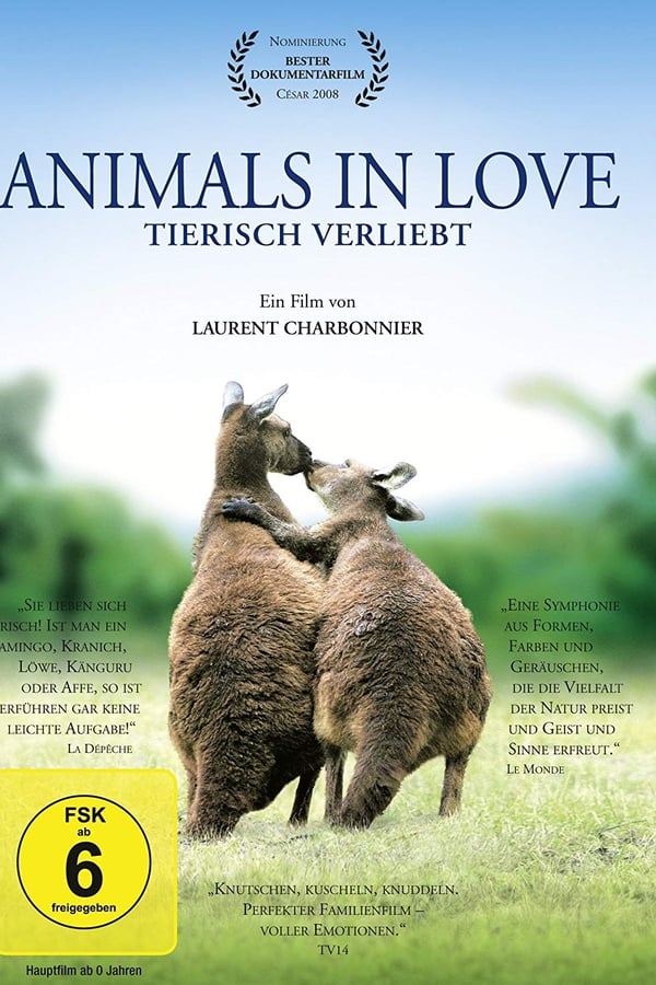 Animals in Love – Tierisch verliebt