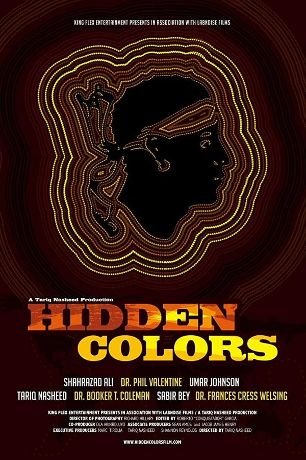 Hidden Colors (2011)