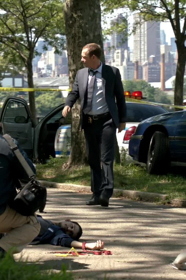 Blue Bloods – S03E03 – Vecchie ferite