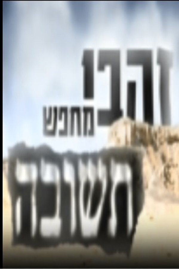 זהבי מחפש תשובה