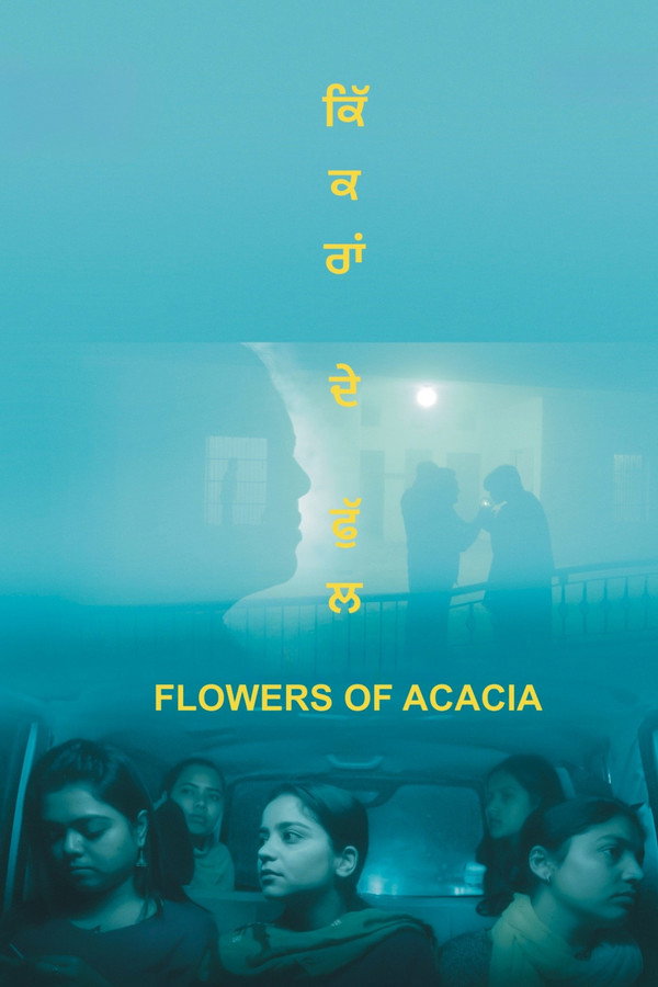 Flowers of Acacia