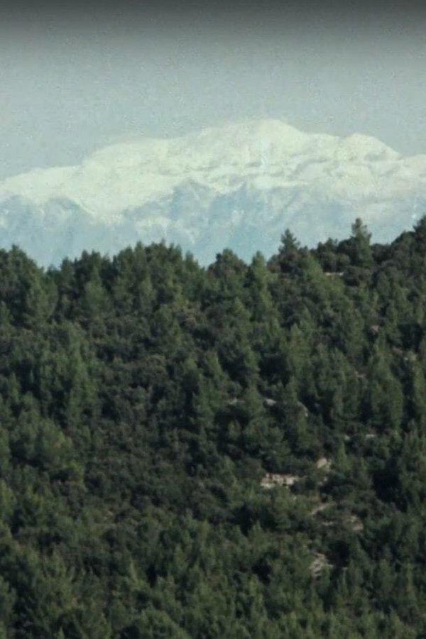 AR - Almost Human (2017)