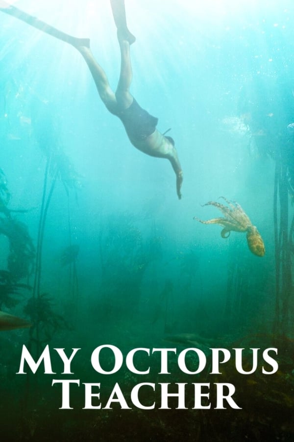 After years of swimming every day in the freezing ocean at the tip of Africa, Craig Foster meets an unlikely teacher: a young octopus who displays remarkable curiosity. Visiting her den and tracking her movements for months on end he eventually wins the animal’s trust and they develop a never-before-seen bond between human and wild animal.